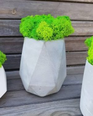 Кашпо с мхом Wow Decor Пентагон белый с салатовым мхом