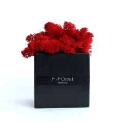 Настольный эко декор со скандинавским мхом Hi-Forest Cube (черный/красный) для дома