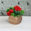 Дерев'яне кашпо NATURWOOD з кольоровим мохом 6 * 7 см (2702)