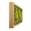 Картина SmartBotanica из стабилизированного мха 70*20 см в деревянной рамке цвет охра