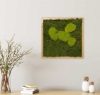 Картина SmartBotanica из стабилизированного мха 35*35 см в светло-коричневой деревянной рамке
