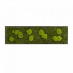 Картина SmartBotanica из стабилизированного мха 140*40 см в черной деревянной рамке