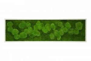 Картина SmartBotanica из стабилизированного мха 30*90 см в белой деревянной рамке