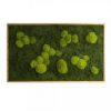 Картина SmartBotanica из стабилизированного мха 100*60 см в светло-коричневой деревянной рамке