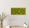 Картина SmartBotanica из стабилизированного кочкового мха 57*27 см в светло-коричневой деревянной рамке