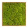Картина SmartBotanica из стабилизированного кочкового мха 55*55 см в деревянной рамке цвет охра
