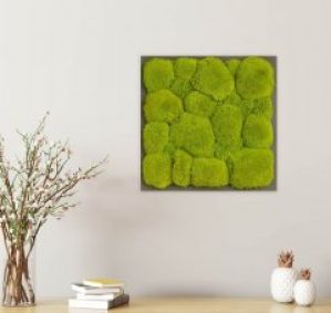 Картина SmartBotanica из стабилизированного кочкового мха 35*35 см в черной деревянной рамке