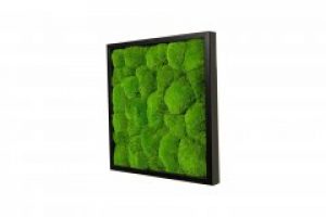 Картина SmartBotanica со стабилизированным мхом 50*50 см в черной деревянной рамке