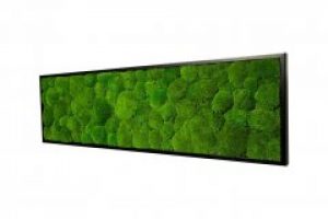 Картина SmartBotanica из стабилизированного мха 80*40 см в черной деревянной рамке