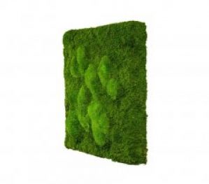 Картина SmartBotanica из стабилизированного мха 45*45 см