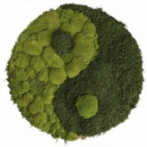 Картина SmartBotanica "Инь-Ян" из стабилизированного мха диаметр 30 см
