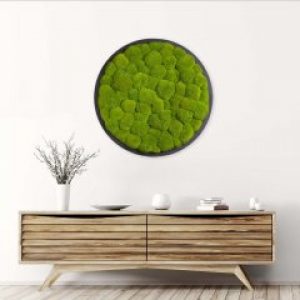 Картина SmartBotanica со стабилизированным Кочковым мхом диаметр 40 см