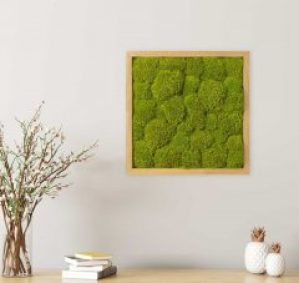 Картина SmartBotanica из стабилизированного кочкового мха 35*35 см в светло-коричневой деревянной рамке