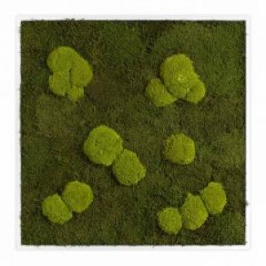 Картина SmartBotanica из стабилизированного мха 80*80 см в белой деревянной рамке
