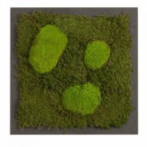 Картина SmartBotanica из стабилизированного мха 35*35 см в черной деревянной рамке