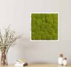 Картина SmartBotanica из стабилизированного кочкового мха 35*35 см в белой деревянной рамке