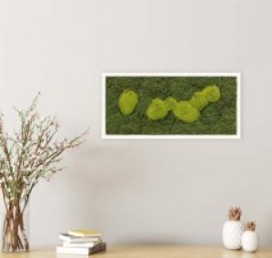 Картина SmartBotanica из стабилизированного мха 57*27 см в белой деревянной рамке