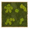 Картина SmartBotanica из стабилизированного мха 80*80 см в светло-коричневой деревянной рамке
