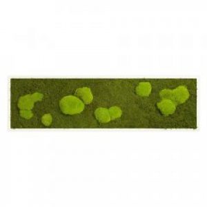 Картина SmartBotanica из стабилизированного мха 140*40 см в белой деревянной рамке