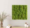 Картина SmartBotanica из стабилизированного кочкового мха 55*55 см в белой деревянной рамке