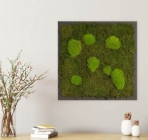 Картина SmartBotanica из стабилизированного мха 55*55 см в черной деревянной рамке