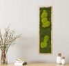 Картина SmartBotanica из стабилизированного мха 70*20 см в светло-коричневой деревянной рамке