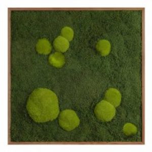 Картина SmartBotanica из стабилизированного мха 80*80 см в деревянной рамке цвет охра