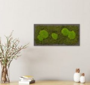 Картина SmartBotanica из стабилизированного мха 57*27 см в черной деревянной рамке