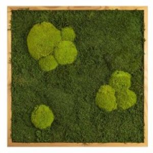 Картина SmartBotanica из стабилизированного мха 55*55 см в деревянной рамке цвет охра