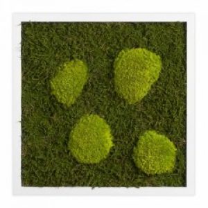 Картина SmartBotanica из стабилизированного мха 35*35 см в белой деревянной рамке