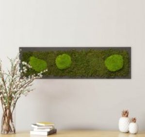 Картина SmartBotanica из стабилизированного мха 70*20 см в черной деревянной рамке