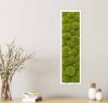 Картина SmartBotanica из стабилизированного кочкового мха 70*20 см в белой деревянной рамке