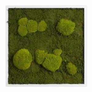 Картина SmartBotanica из стабилизированного мха 55*55 см в белой деревянной рамке