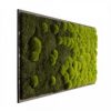 Картина SmartBotanica "Градиент" из стабилизированного мха 60*30 см