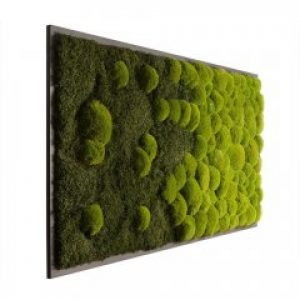 Картина SmartBotanica "Градиент" из стабилизированного мха 60*30 см