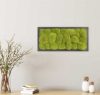 Картина SmartBotanica из стабилизированного кочкового мха 57*27 см в черной деревянной рамке