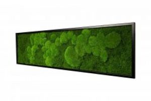 Картина SmartBotanica из стабилизированного мха 60*180 см в черной деревянной рамке
