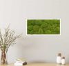 Картина SmartBotanica из стабилизированного кочкового мха 57*27 см в белой деревянной рамке