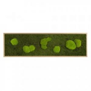 Картина SmartBotanica из стабилизированного мха 140*40 см в деревянной рамке цвет охра