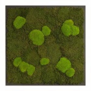 Картина SmartBotanica из стабилизированного мха 80*80 см в черной деревянной рамке