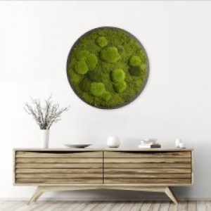 Картина SmartBotanica со стабилизированным мом диаметр 30 см