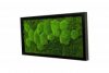Картина SmartBotanica из стабилизированного мха (кочки + плоский) 60*30 см в черной деревянной рамке