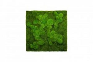 Картина SmartBotanica из стабилизированного мха 85*85 см