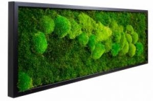 Картина SmartBotanica из стабилизированного мха 60*120 см в черной деревянной рамке
