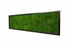 Картина SmartBotanica из стабилизированного Плоского мха 80*40 см в черной деревянной рамке