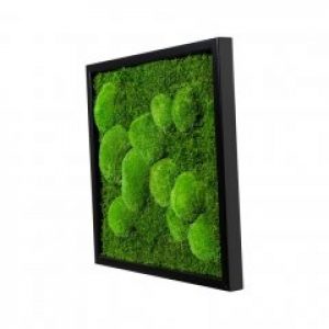 Картина SmartBotanica со стабилизированным мхом 55*55 см в черной деревянной рамке