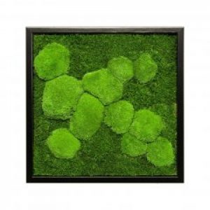Картина SmartBotanica из стабилизированного мха 50*50 см в черной деревянной рамке