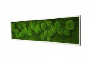 Картина SmartBotanica со стабилизированным мхом 140*40 см в белой деревянной рамке