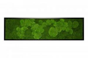 Картина SmartBotanica со стабилизированным мхом 140*40 см в черной деревянной рамке