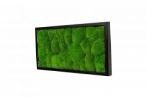 Картина SmartBotanica со стабилизированным мхом 60*30 см в черной деревянной рамке